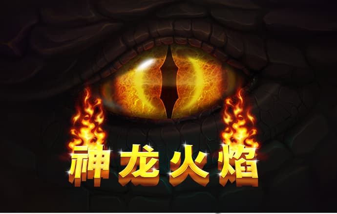 51大豆行情网